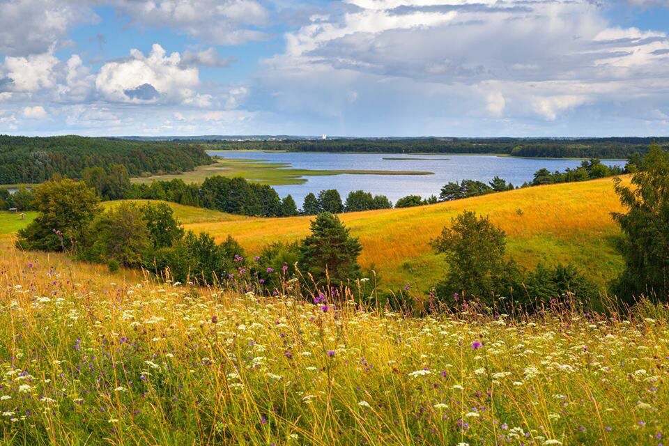 Белорусские пейзажи фото