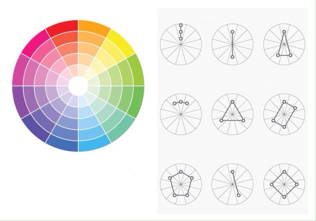 Швейцарский дизайнер схемы цветового круга