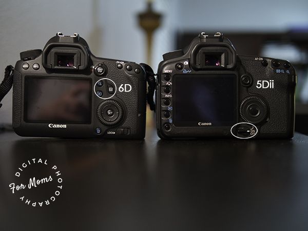 Canon 5d vs 5d mark