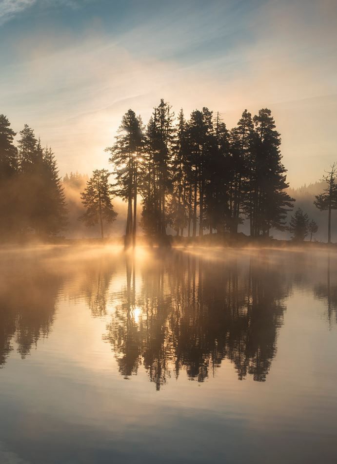 Фото отражения в воде