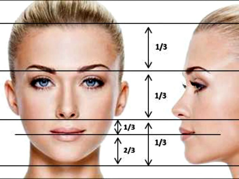 Каким должен быть лоб. Идеальное лицо по пропорциям. Красивые пропорции лица. Идеальные пропорции лица. Золотое сечение в пропорциях лица человека.