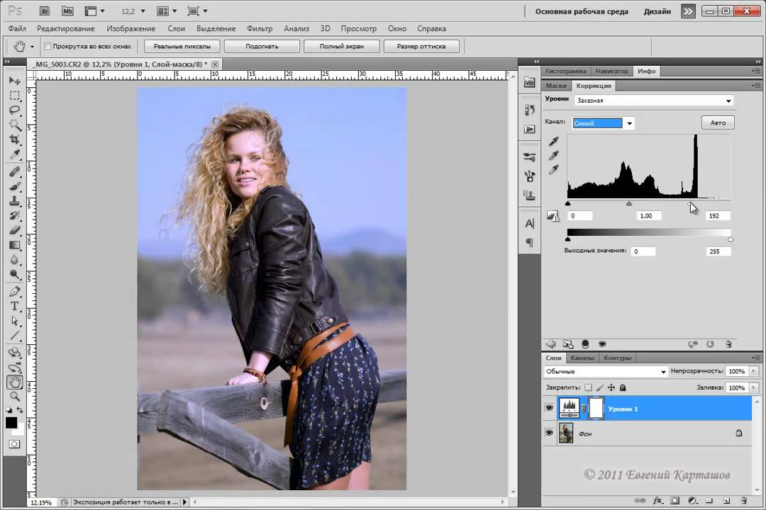 Способы тонирования изображений в adobe photoshop