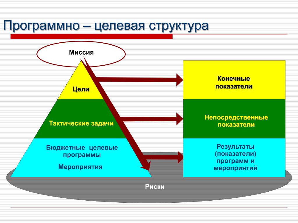 Структура задача цель. Программно целевая структура. Целевая структура управления. Программно целевая структура организации. Программно-целевая структура управления.