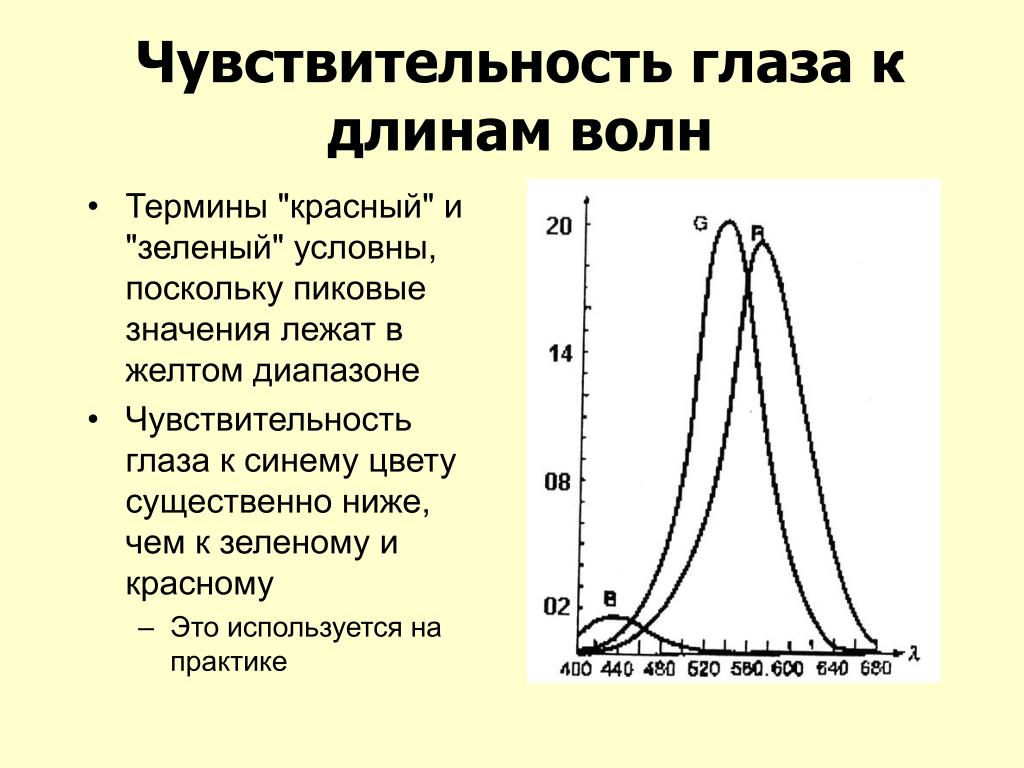 Имеют разную длину. Спектральная чувствительность глаза человека. Спектр чувствительности человеческого глаза. Максимальная чувствительность глаза. Чувствительность глаза к длине волны.