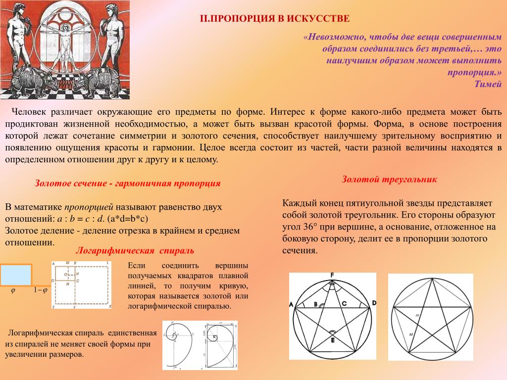 Пропорция и золотое сечение проект 6 класс