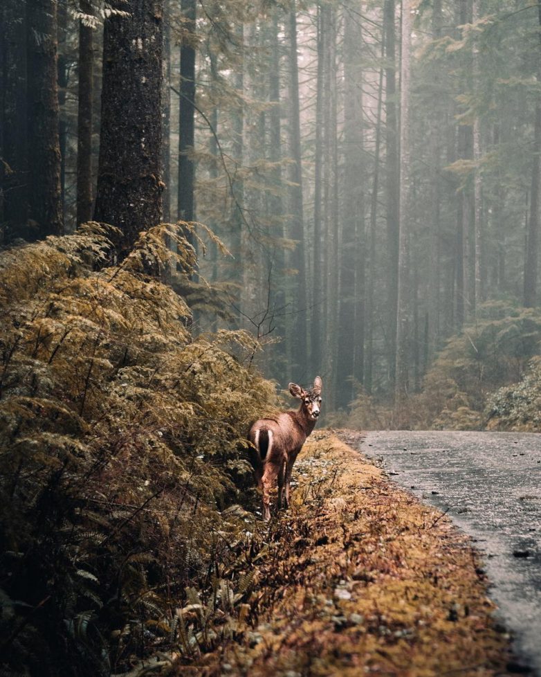 Лучшие фотографии мира и их самые удачные фотографии пейзаж