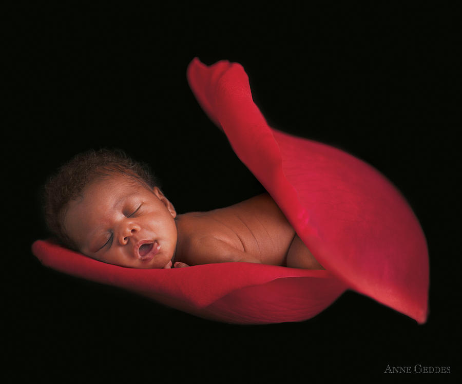 Anne geddes фото