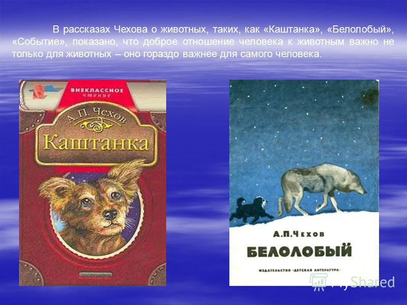 Рассказ чехова 4. А.П.Чехов картинка белолобый. Каштанка и белолобый Чехов. Чехов рассказы о животных. Произведения Чехова про животных.