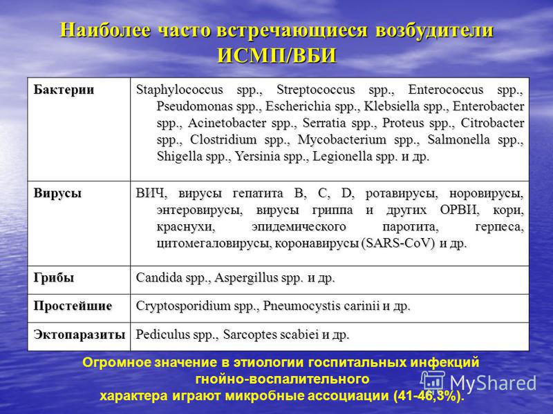 Где чаще встречается. Наиболее частые возбудители внутрибольничных инфекций. Наиболее частые возбудители ИСМП. Основная доля возбудителей ИСМП. Основные возбудители внутрибольничных инфекций таблица.