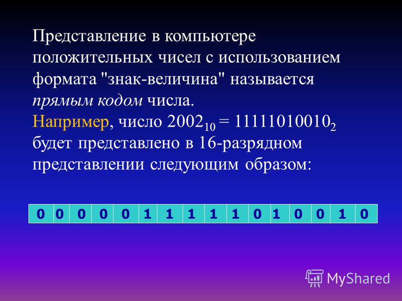 Видное число. Представление числовой информации в ПК. 16 Разрядное представление числа. Внутреннее представление числовых данных в компьютере. Битовое представление числа.