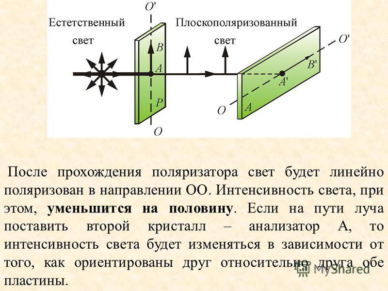 Интенсивность падающего на поляризатор света равна. Плоскополяризованный свет. Естественный свет и поляризованный свет. Поляризация света поляризатор и анализатор.