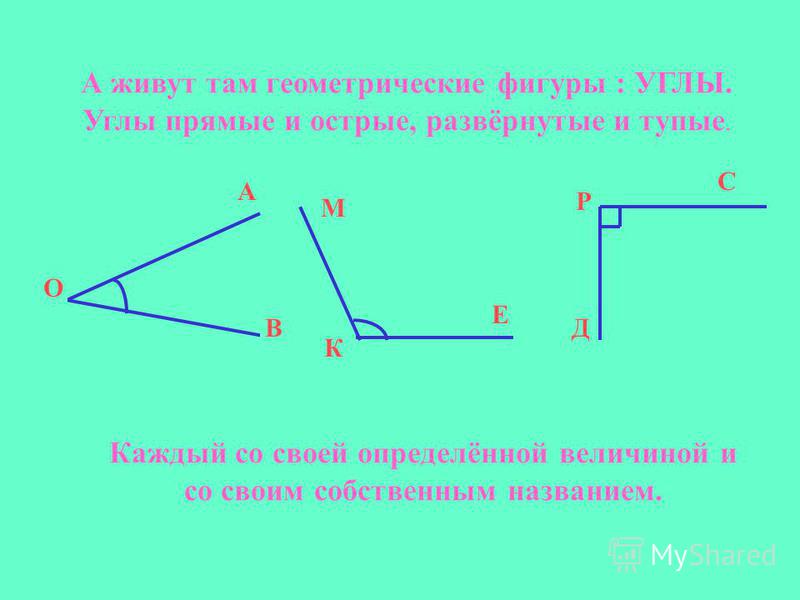 Сколько углов в прямом угле