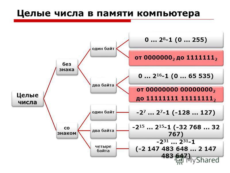 Целое число битов. Целые числа в памяти компьютера. Целые числа в ПК. -1 В памяти компьютера. Числа в памяти компьютера 8 класс.