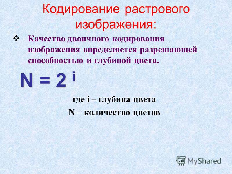 Количество цветов 2 2