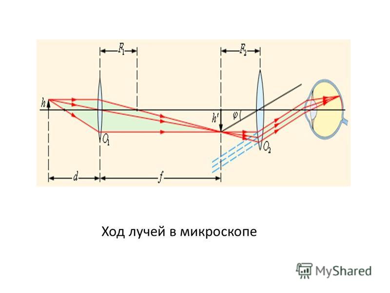 Схема лучей в микроскопе