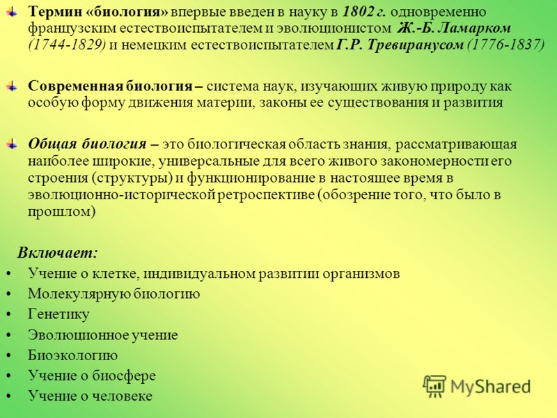 Термины 9