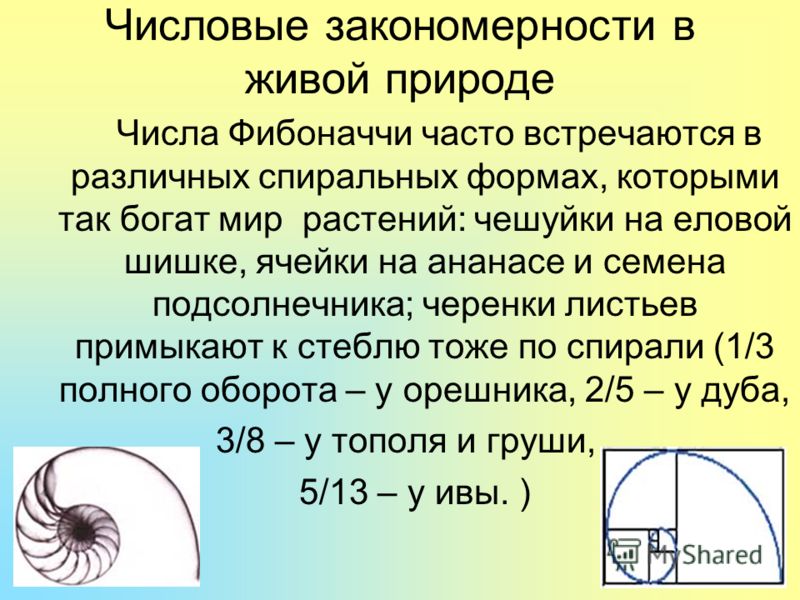 Проект числа фибоначчи гипотеза