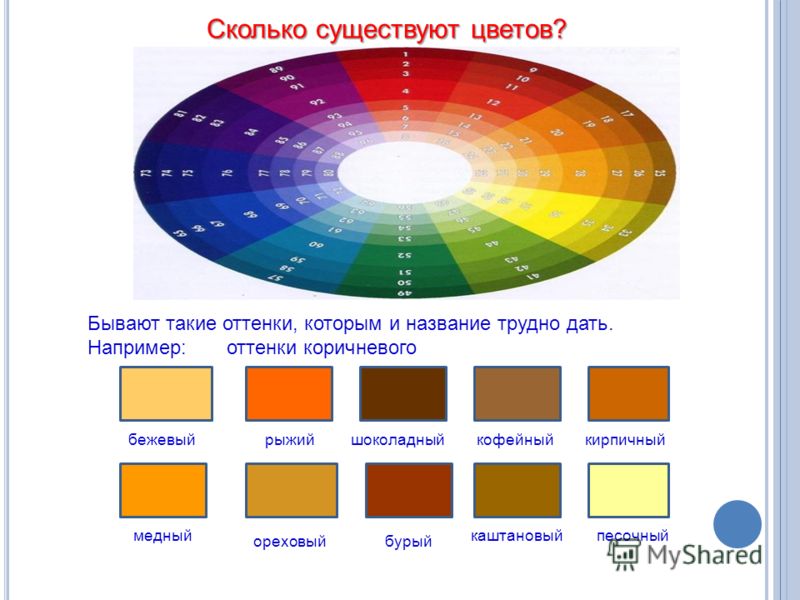 Сколько цветов может быть в презентации