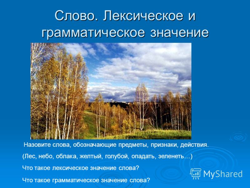 Что обозначает слово поле. Лексическое значение слова это. Лексическое значение слова небо. Облако лексическое значение. Значение слова лес.