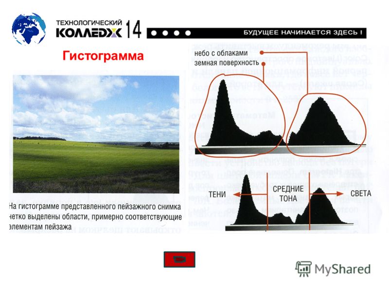 Гистограмма в фотографии что это