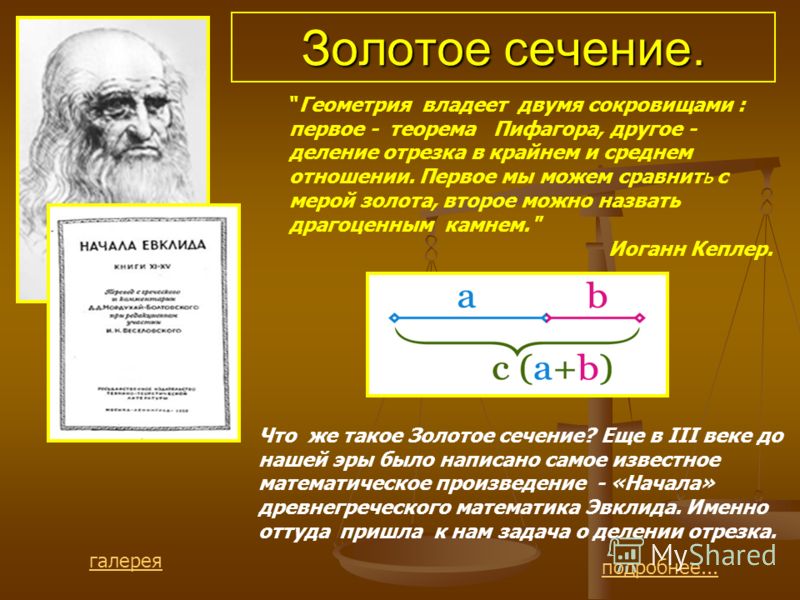 Гармония золотого сечения проект