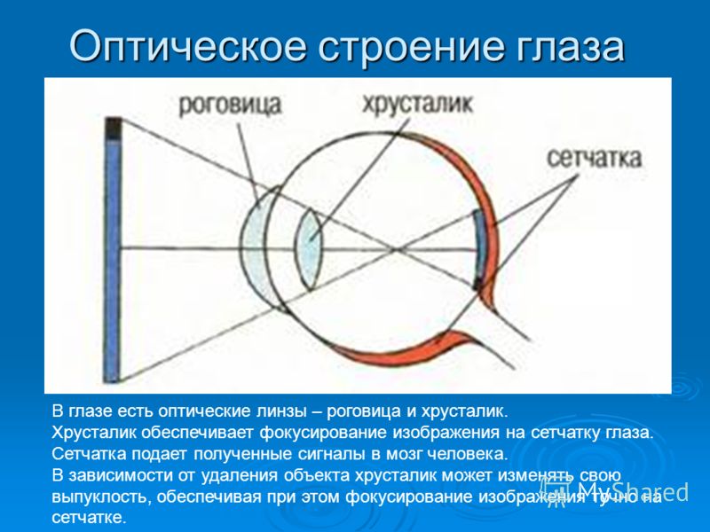 Построение изображения на сетчатке в нормальном глазу