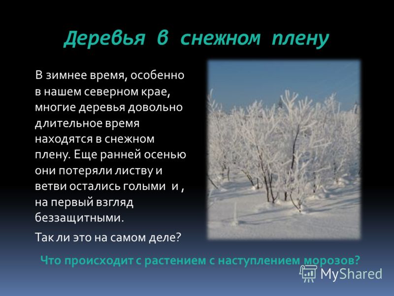 Природа зимой сочинение