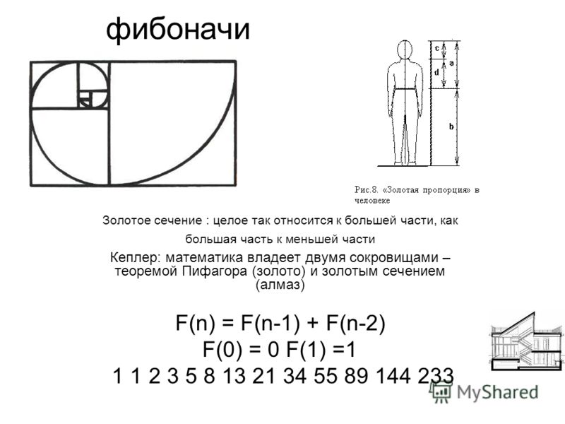 Метод золотого сечения