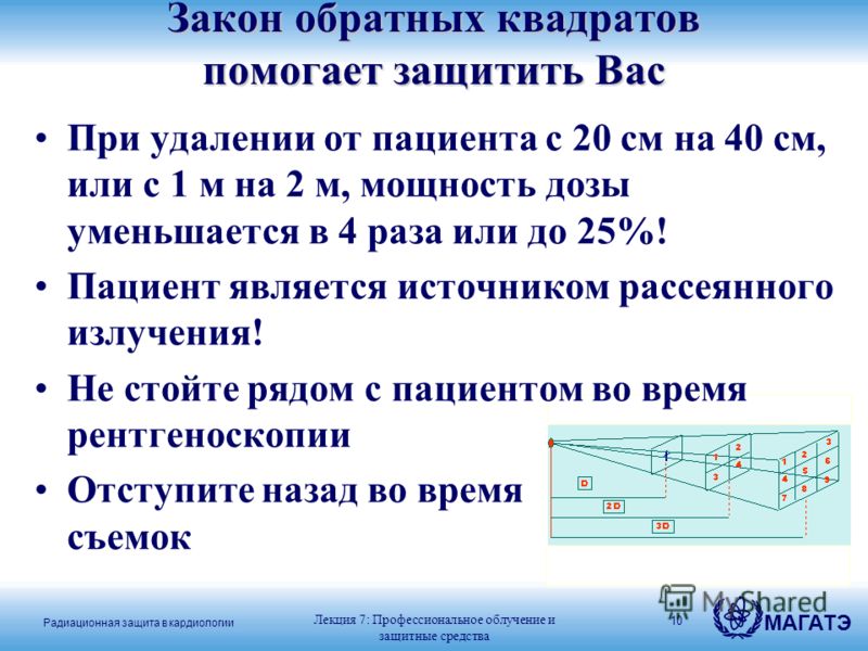 Ряд обратных квадратов