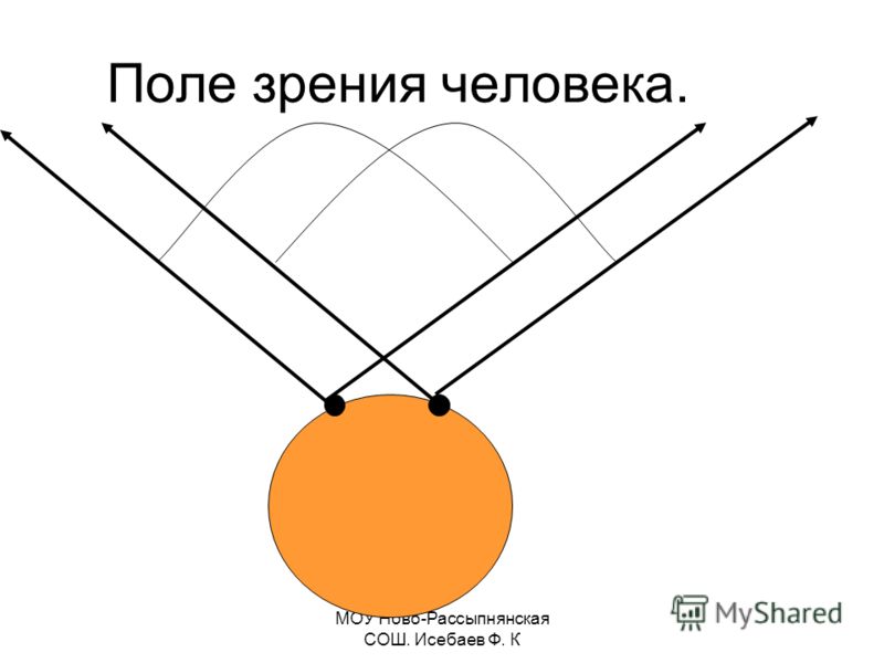 Поле зрения человека. Поле зрения глаза. Угол периферийного зрения. Угол обзора человеческого глаза.