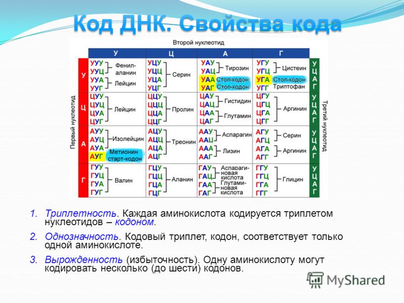 Какой триплет в молекуле