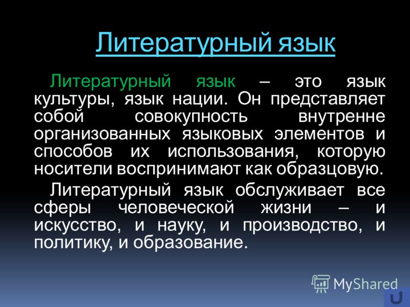 Язык литературы