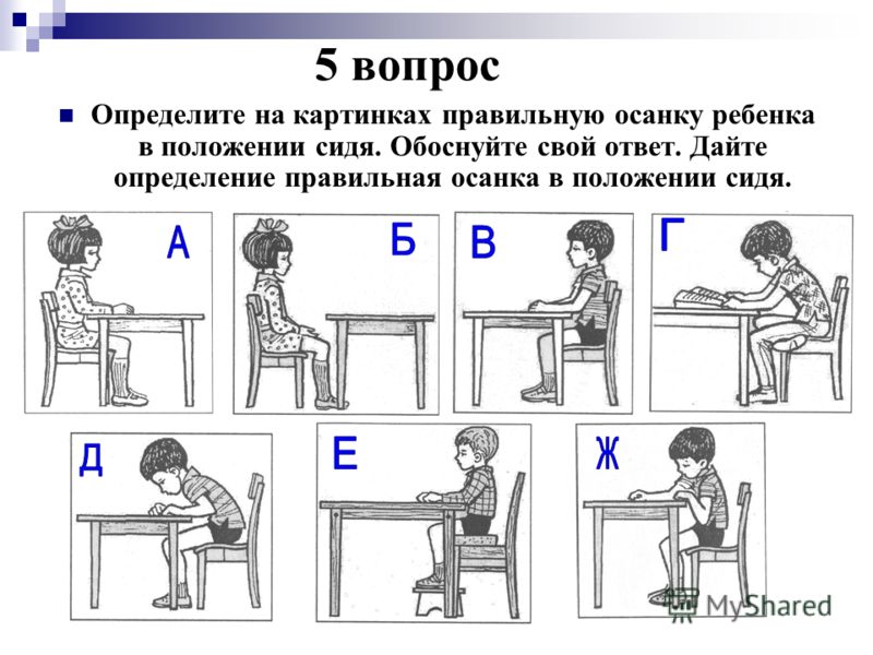 Выбери правильную картинку