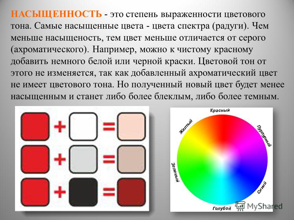 Укажите наименьший элемент рисунка для которого можно независимо установить цвет