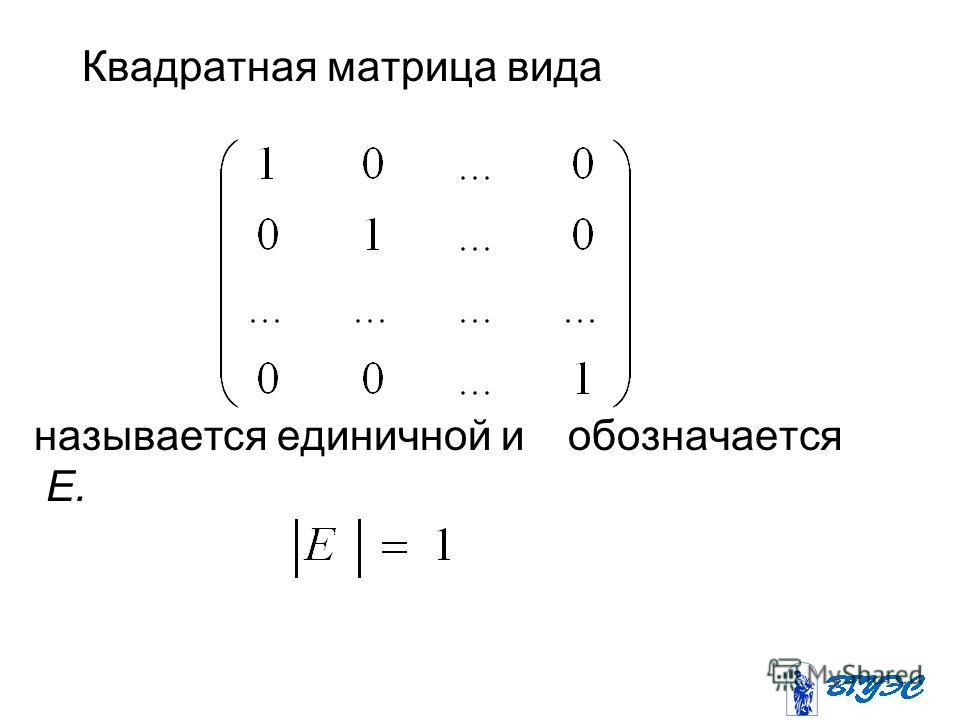 Матрица содержащая информацию. Единичная матрица это матрица 2 на 2. Прямоугольная и квадратная матрица. Единичная квадратная матрица. Единичная прямоугольная матрица.