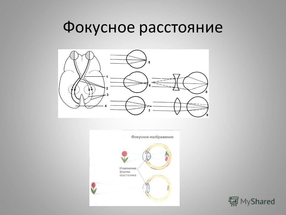 Расстояние зрения