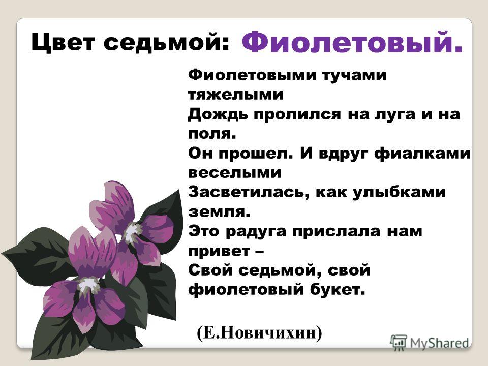 Сколько существует цветов. Что такое цвет 6 класс. Антирюм сколько цветов.