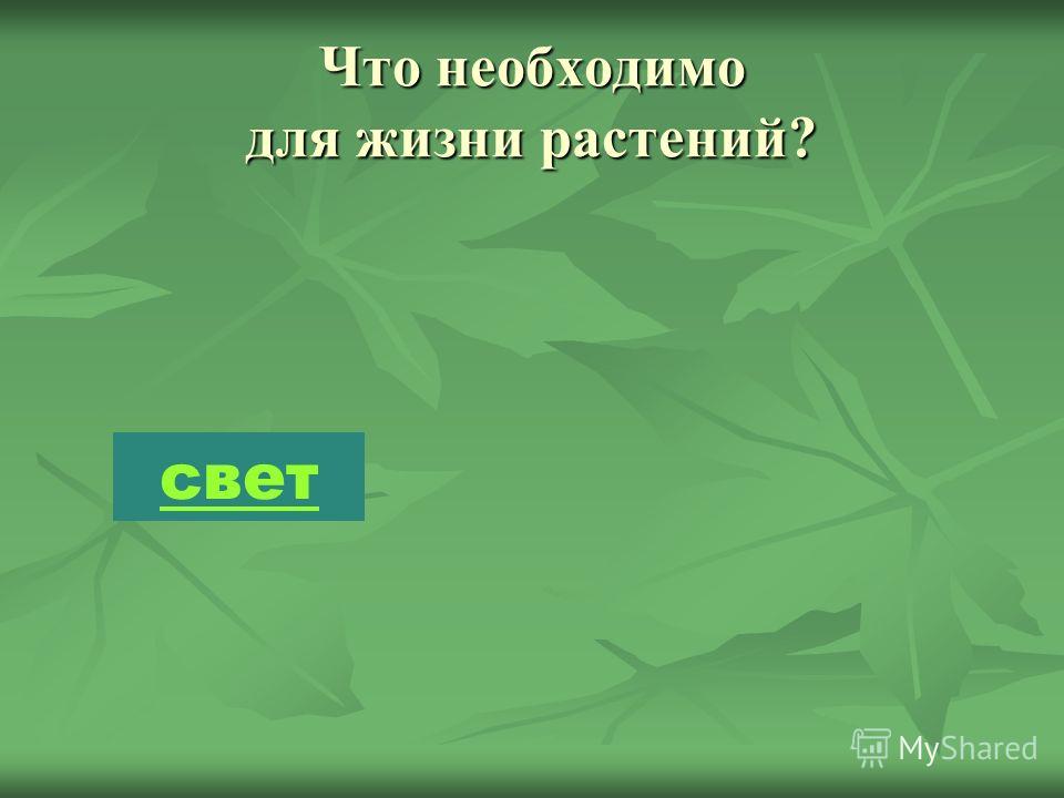 Сколько растений есть. Сколько растений на земле. Сколько всего растений. Растения необходимые для жизни на земле. Невидимая жизнь растений.