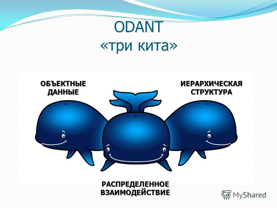 Три кита картинки для презентации