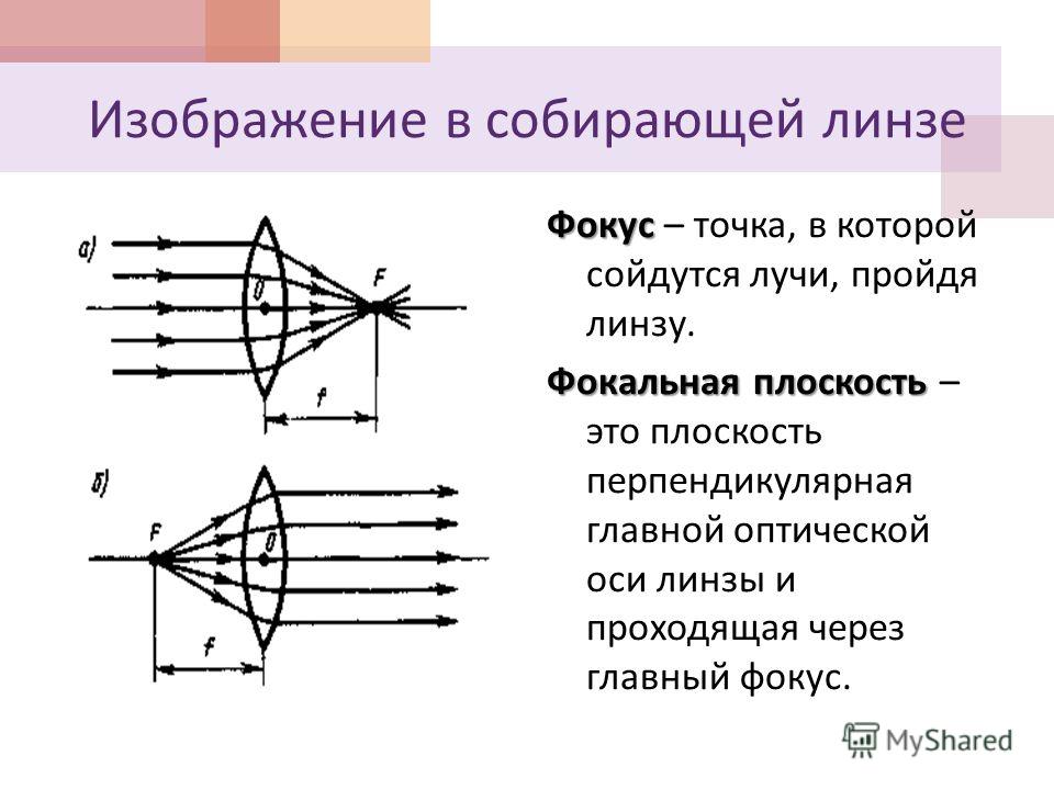 Собирающий фокус. Построение изображения в линзе фокальная плоскость. Фокальная плоскость собирающей линзы. Фокус и фокальная плоскость линзы. Главные фокусы и фокальные плоскости линзы.