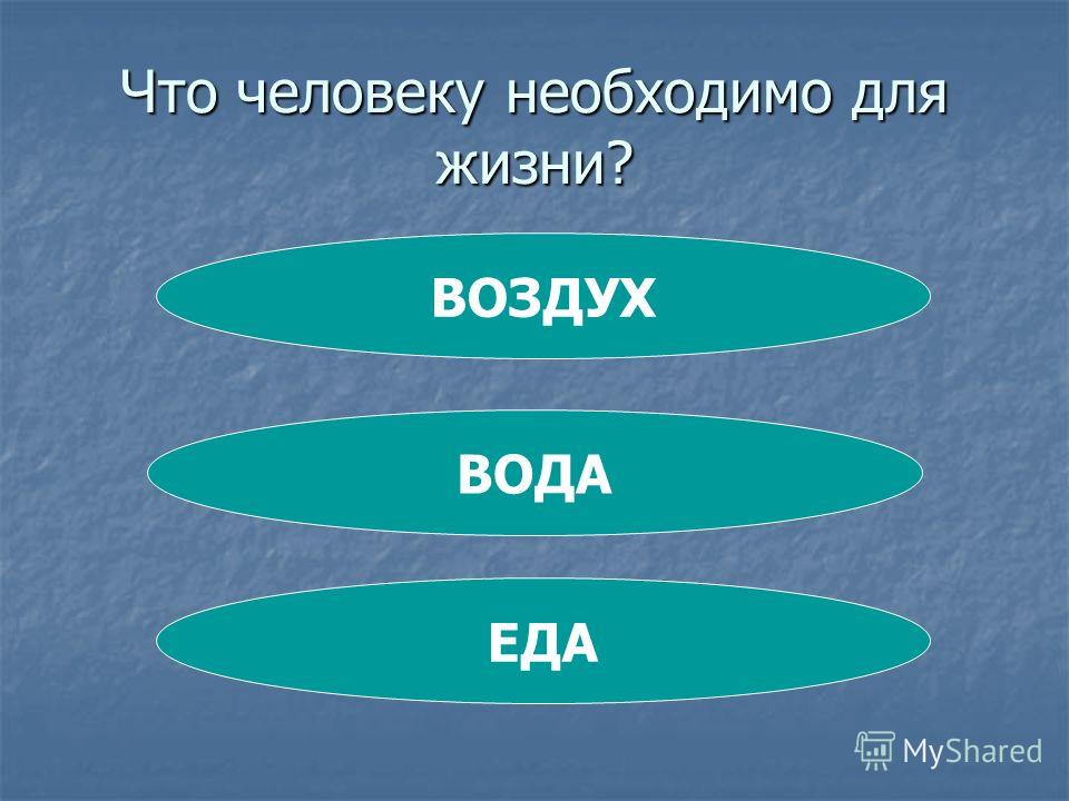 Что необходимо человеку для развития. Что необходимо человеку для жизни. Еда вода воздух. Необходимые условия жизни человека. Что нужно человеку.