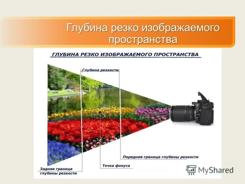 Глубина резко изображаемого пространства в фотографии