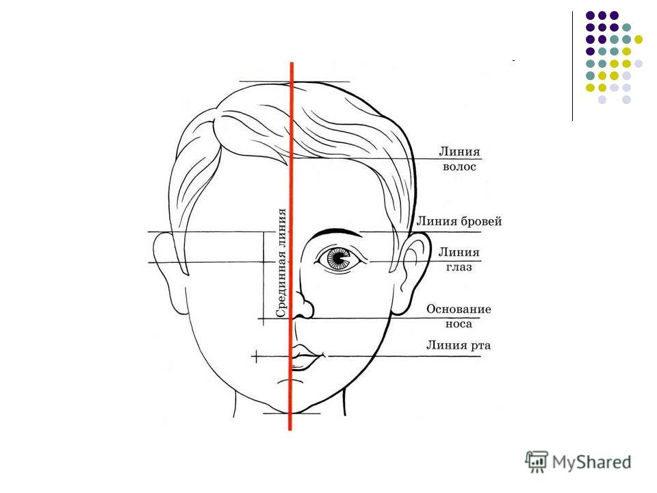 Нарисовать части лица 6 класс