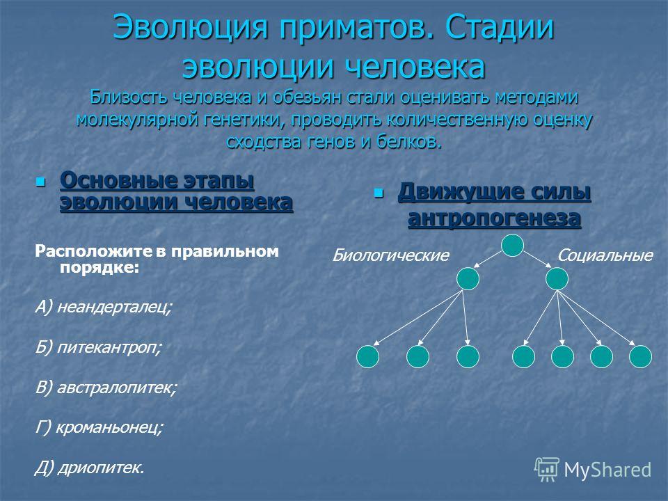 Основные этапы развития фотографии