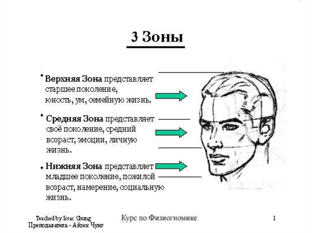 Лоб характер. Три зоны лица физиогномика. Физиогномика как читать человека по лицу. Чтение по лицу физиогномика. Физиогномика черты лица и характер.