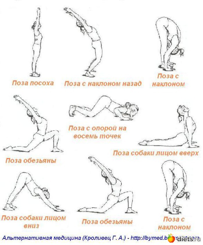 Позы и картинки