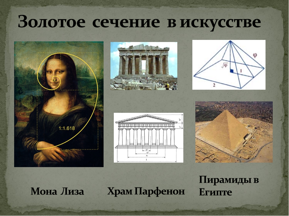 Золотая пропорция в математике проект