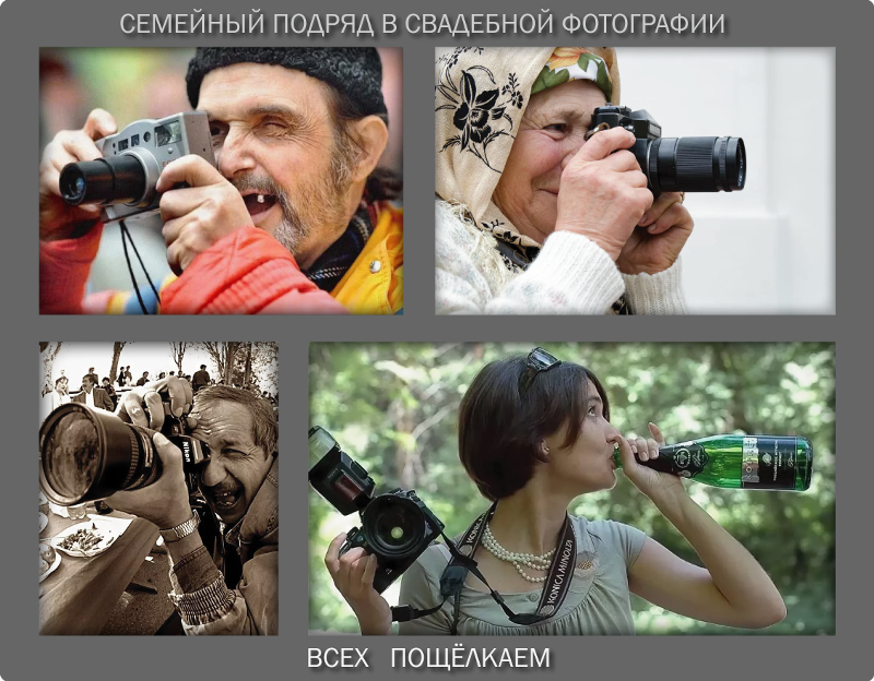 Фотограф зарплата. Сколько зарабатывает профессиональный фотограф. Сколько зарабатывает фотограф природы. Сколько зарабатывает фотограф фото. Сколько получает фотограф природы.