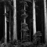IMG_9192.th.jpg