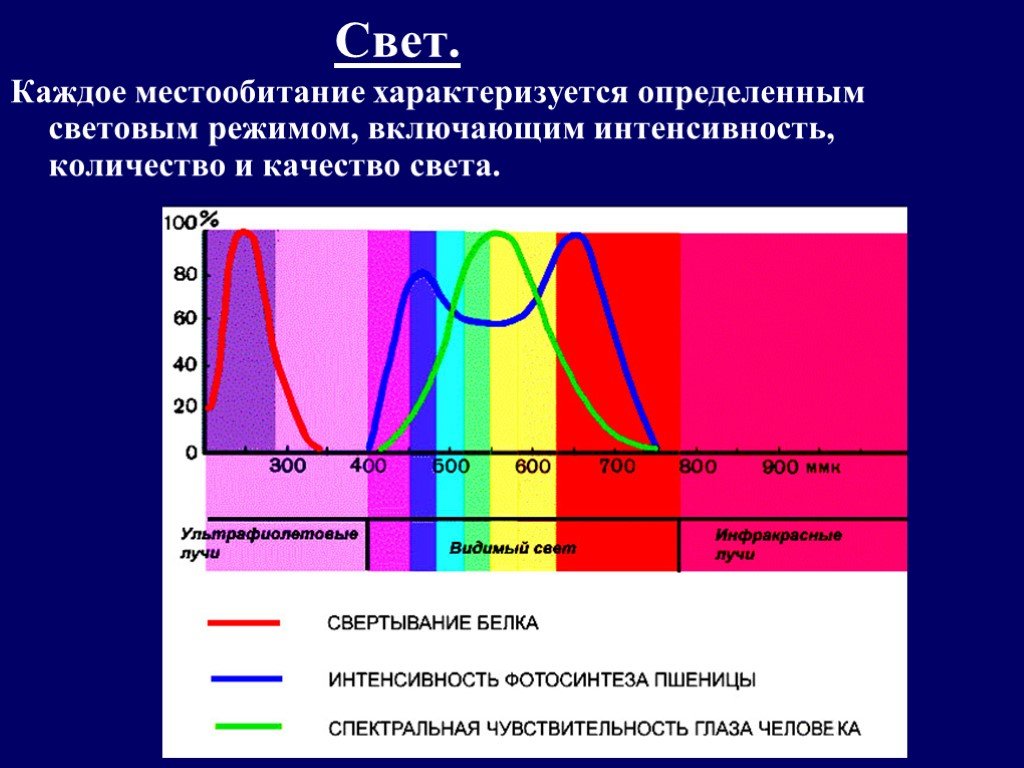 Световой режим виды